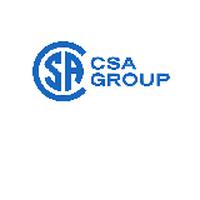 CSA INDIA PRIVATE LIMITED
